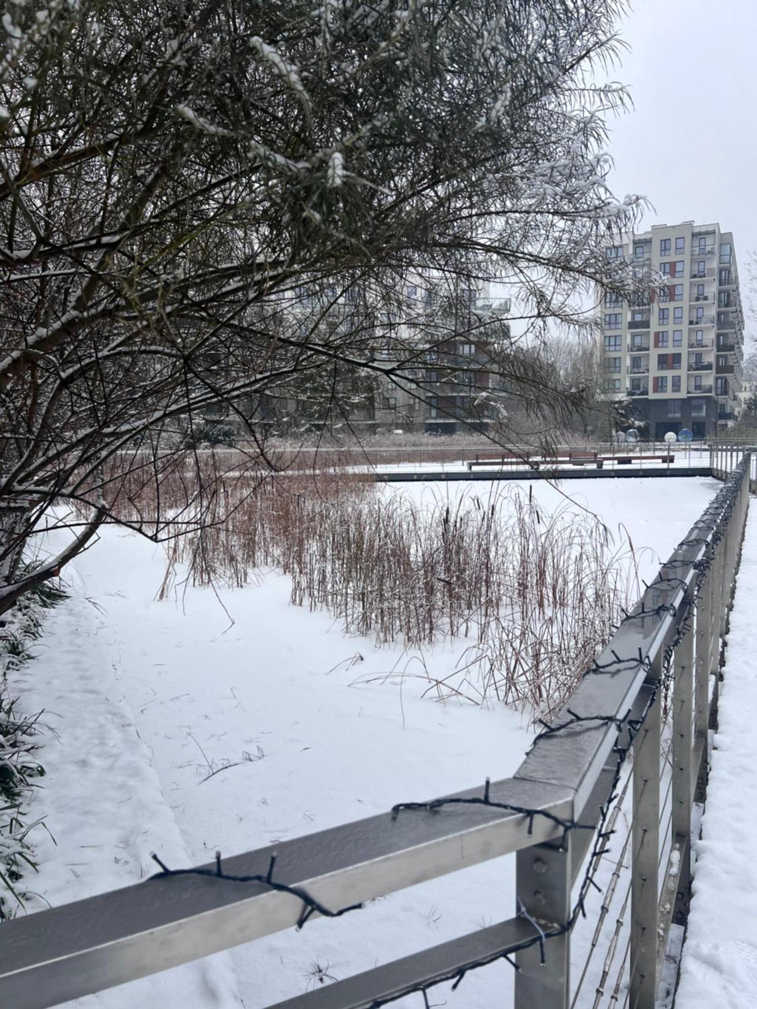 Lake Park Apartament With Free Parking Airport Netflix Apartman Varsó Kültér fotó