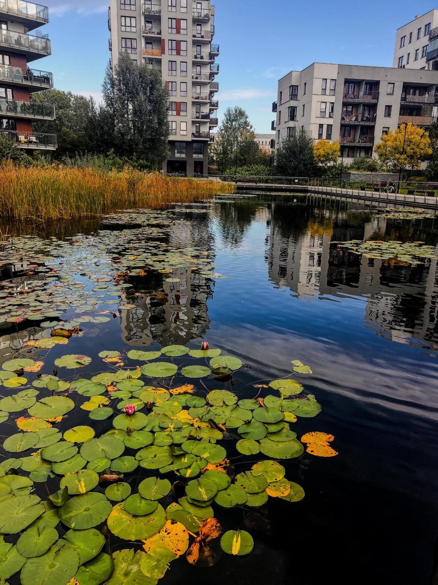 Lake Park Apartament With Free Parking Airport Netflix Apartman Varsó Kültér fotó