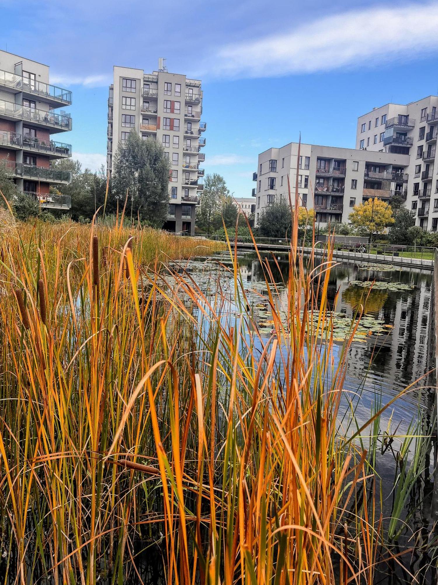 Lake Park Apartament With Free Parking Airport Netflix Apartman Varsó Kültér fotó